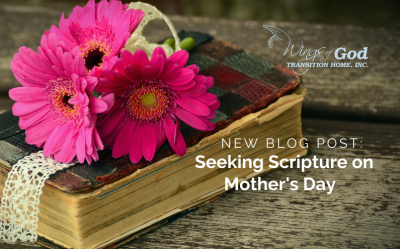Seeking Scripture on Mother’s Day