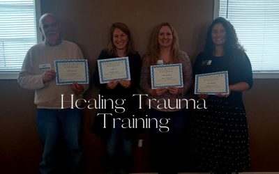 Healing Trauma Training